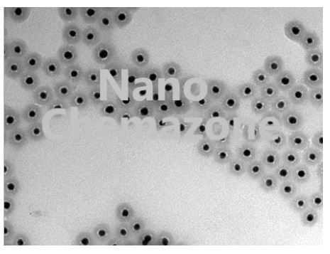 Nickel Silica Core Shell Nanoparticles