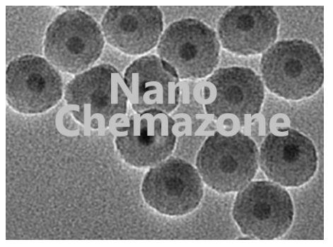 Iron Oxide Silica Core Shell Nanoparticles