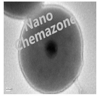 Gold Silver Core Shell Nanoparticles