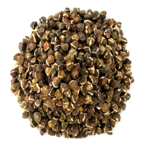 Moringa Seeds Moringa Seeds