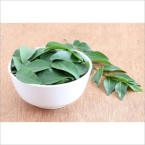 Curry Leaves Age Group: For Adults