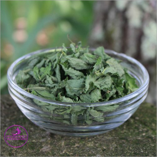 Dried Herbs Dehydrated Mint Leaves