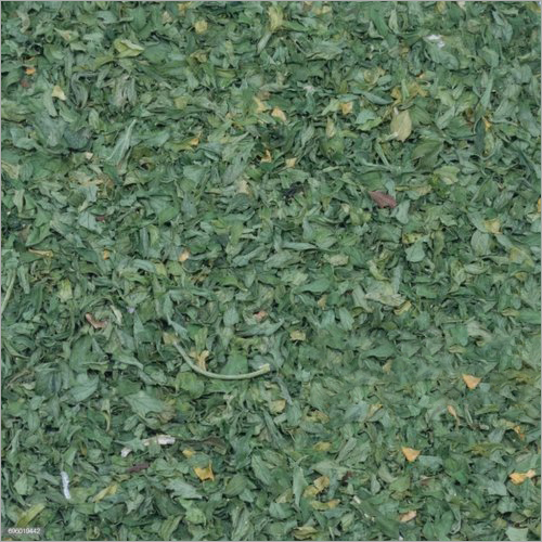 Parsley Leaves Age Group: For Adults