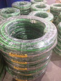 zebra green line