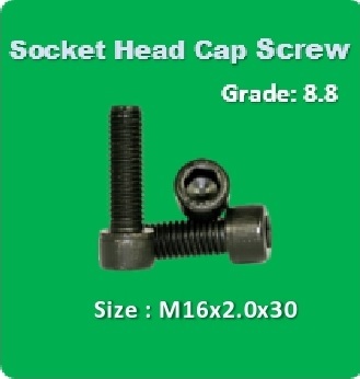 Socket Head Cap Screw M16x2.0x30