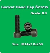 Socket Head Cap Screw M14x2.0x250