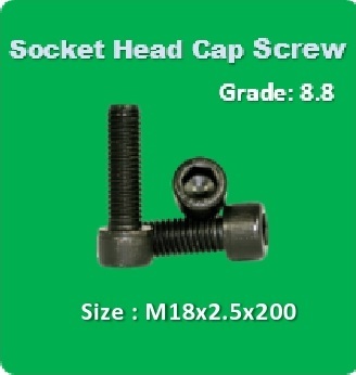 Socket Head Cap Screw M18x2.5x200