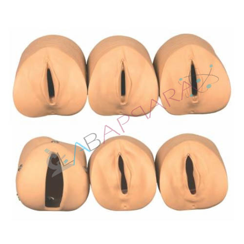 Labour Delivery Simulator