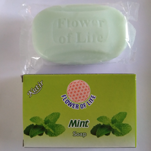Mint Soap Size: 75 Grams