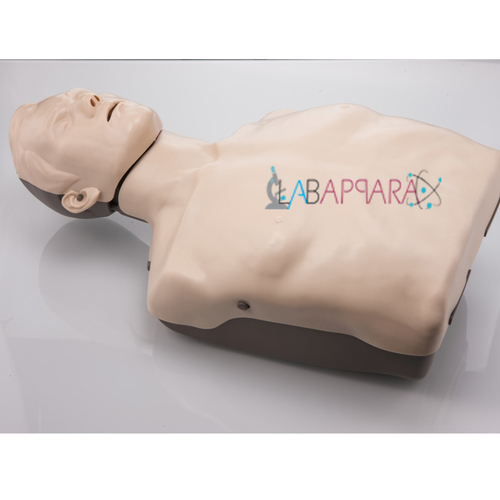 Half Body CPR Training Manikin without Light