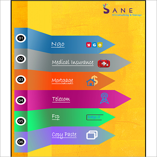 International Data Entry Outsourcing BPO Project
