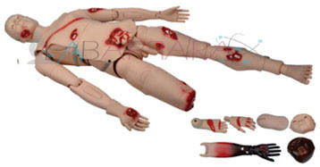 Advanced Trauma Manikin