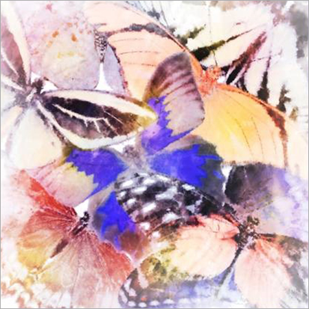 Multicolor Butterfly Digital Print Scarves