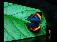 indoor led video display