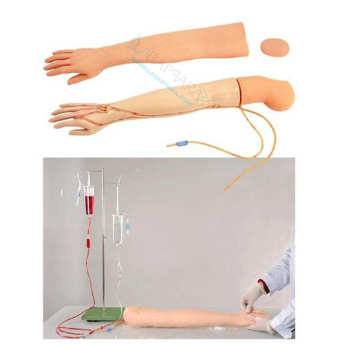 Multi Functional I.V. Training Arm