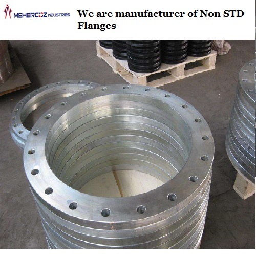 Stainless Steel Non Std Flanges