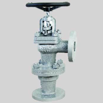 Cast Iron Accessible feed Check valve
