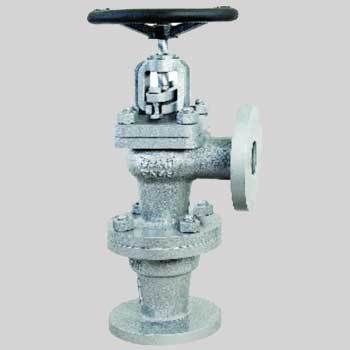 Cast Iron Accessible feed Check valve