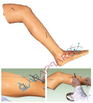 Advanced Surgical Suture Leg
