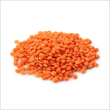 Common Masoor Dal