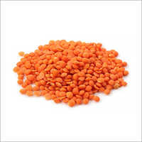 Masoor Dal - Splited, 99% Pure Quality | Rich In Fiber, Aids Digestion And Weight Management, Promotes Heart Health