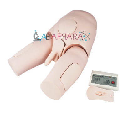 Electronic Catheterization & Enema Model with monitor(Unisex)