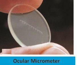Ocular Micrometer Labappara
