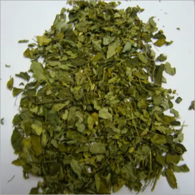 Herbal Product Moringa Leaves