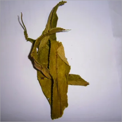 Herbal Product Lobelia Leaves