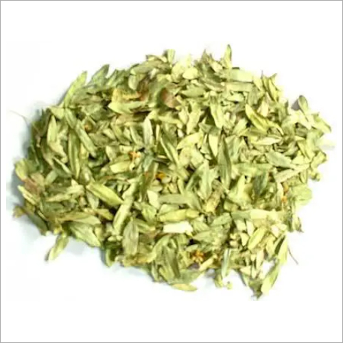 Herbal Product Senna Leaves