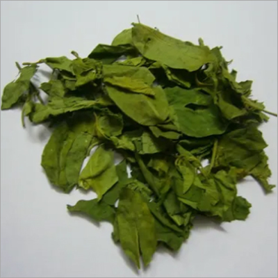 Herbal Product Gymnema Leaves