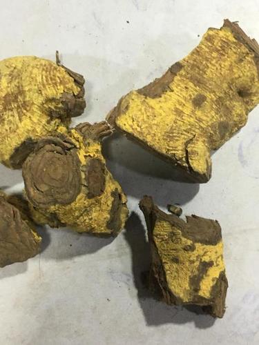 Salacia Root