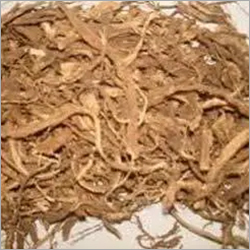 Herbal Product Coleus Forskohli Root
