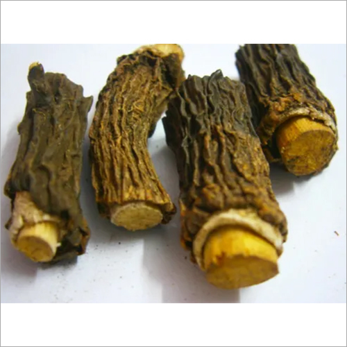 Sarsaparilla Root