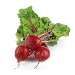 Fresh Beetroot