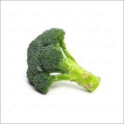 Fresh Broccoli