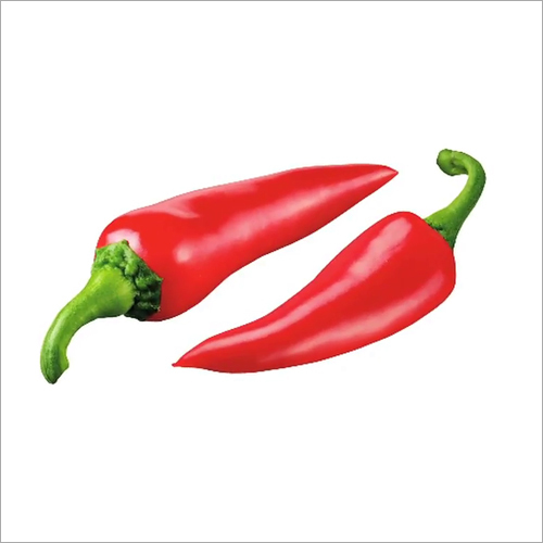 Fresh Vegetables