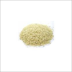 Sesame Seeds