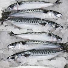 Frozen Fish