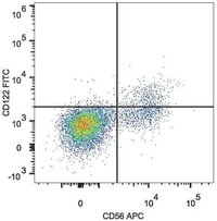 cd 122 antibody