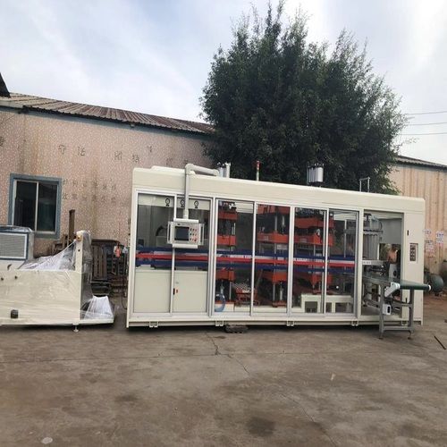 Customized Positive And Negative Disposable Food Container Thermoforming Machine