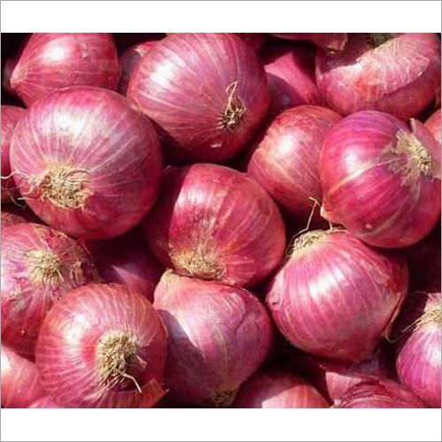 Onion