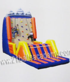 Wall Climbing Bouncy 14x30