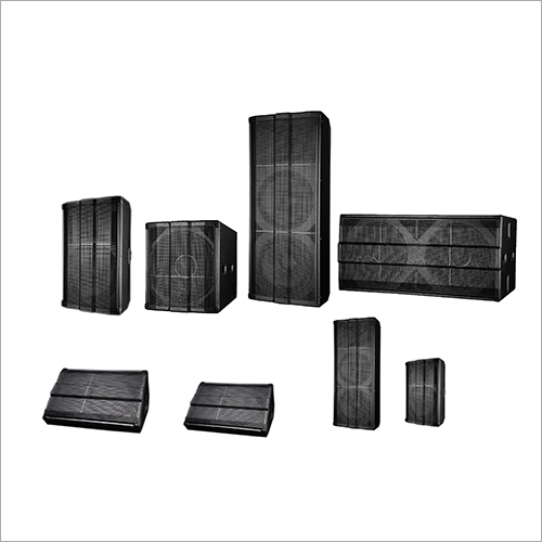 Professional Speaker