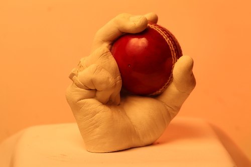 Sculpture Cricket Lover 3D Kit