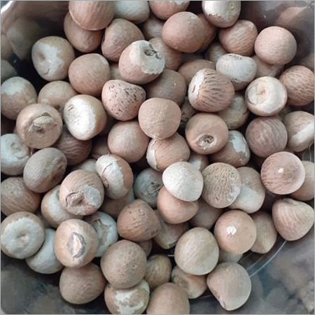 Natural Areca Nut