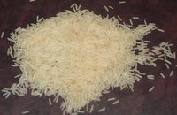 1509 Basmati Golden Rice