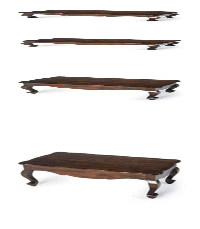 Elegant Center Table With Curving Legs