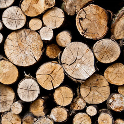 Raw Wooden Log Moisture Content: 10 - 30 %