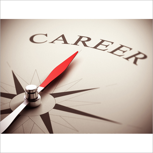 Career Consultation Astrological Service